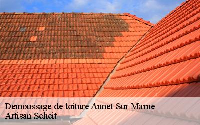 Artisan Scheit vous offre des prix pas chers !  à Annet Sur Marne dans le 77410 pour vos travaux de démoussage de toiture !