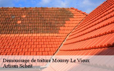 Confiez-vous àArtisan Scheit démousseur de toiture à prix pas cher à Moussy Le Vieux dans le 77230 !