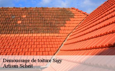 Avez-vous besoin de démoussage de toiture à Sigy dans le 77520 ? faites confiance à Artisan Scheitspécialiste dans ce domaine !