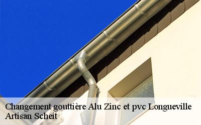 Vous voulez jouir des services d’un professionnel de qualité au meilleur tarif pour vos opérations changement gouttière alu zinc et PVC ?